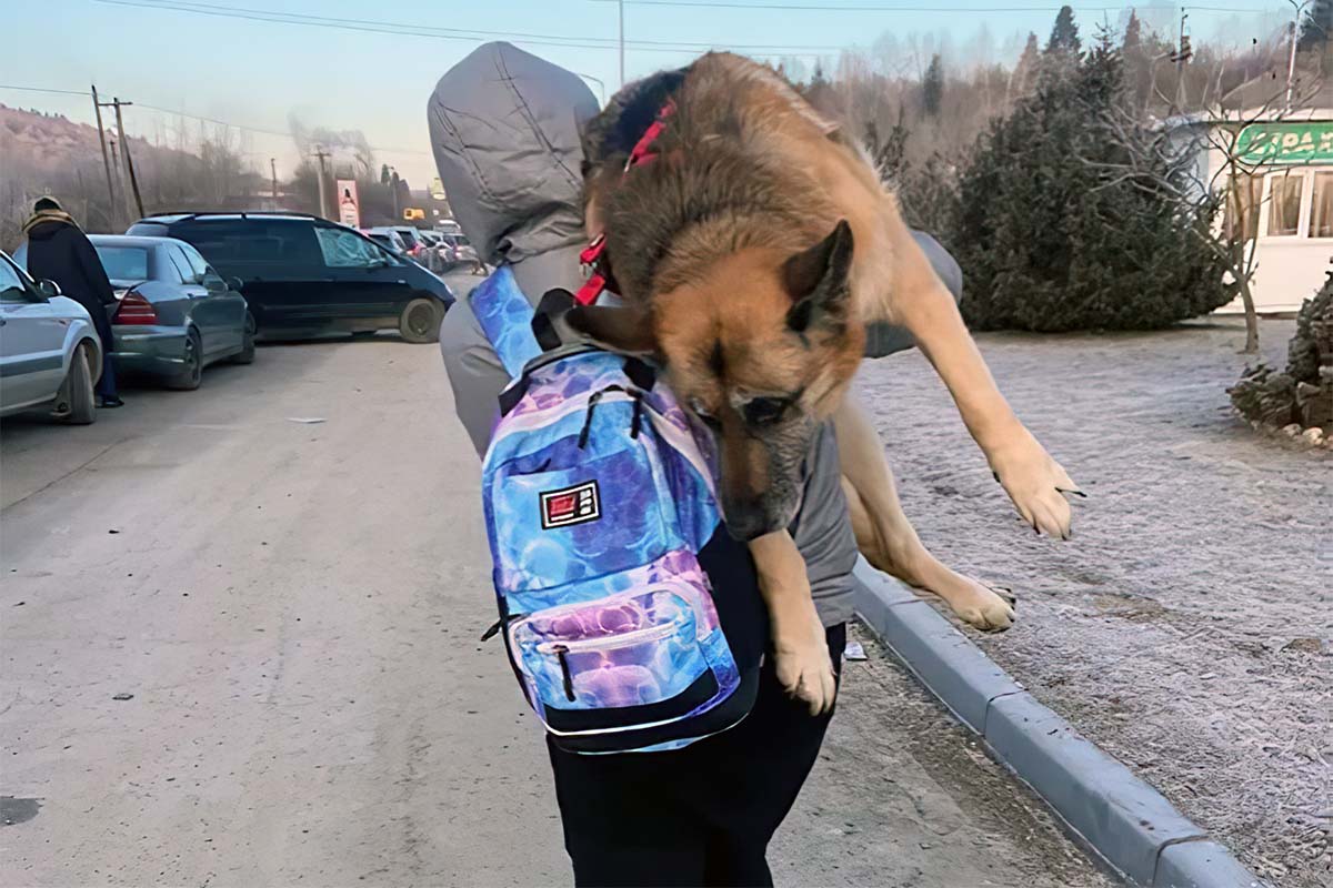Ukrianian refugee carrying dog